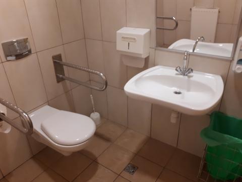 Toaleta dostosowana. Muszla ustępowa, umywalka i lustro